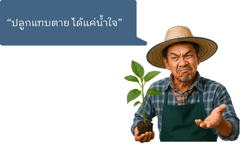 farmer