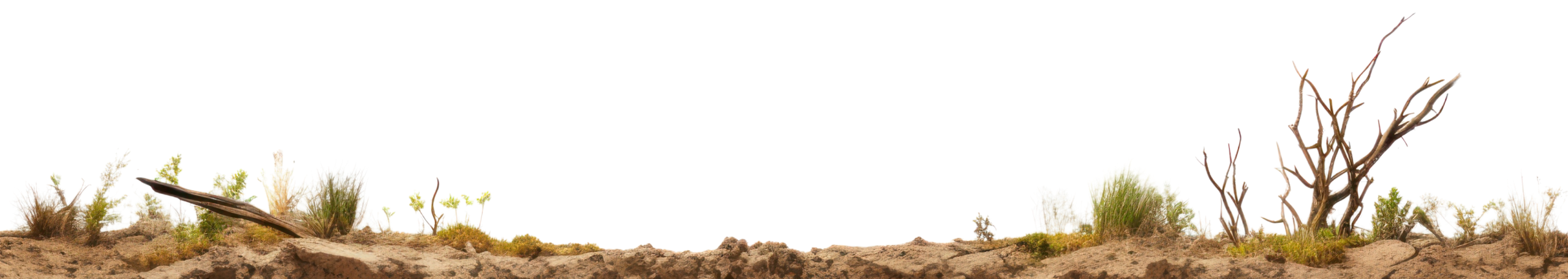 Ground
